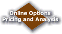 Online Options Pricing and Analysis